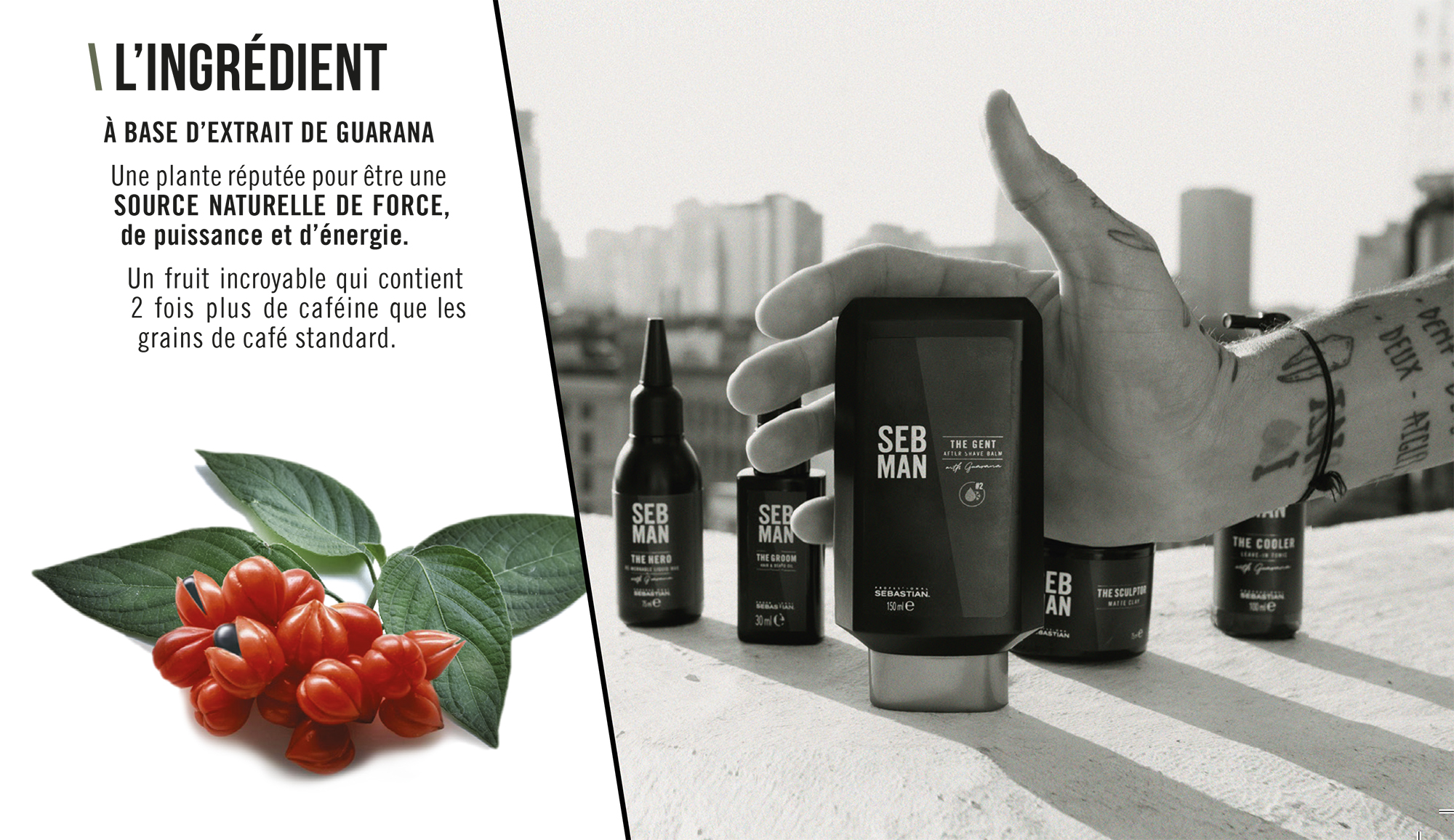 SEB MAN EXTRAIT DE GUARANA