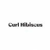 CURL HIBISCUS