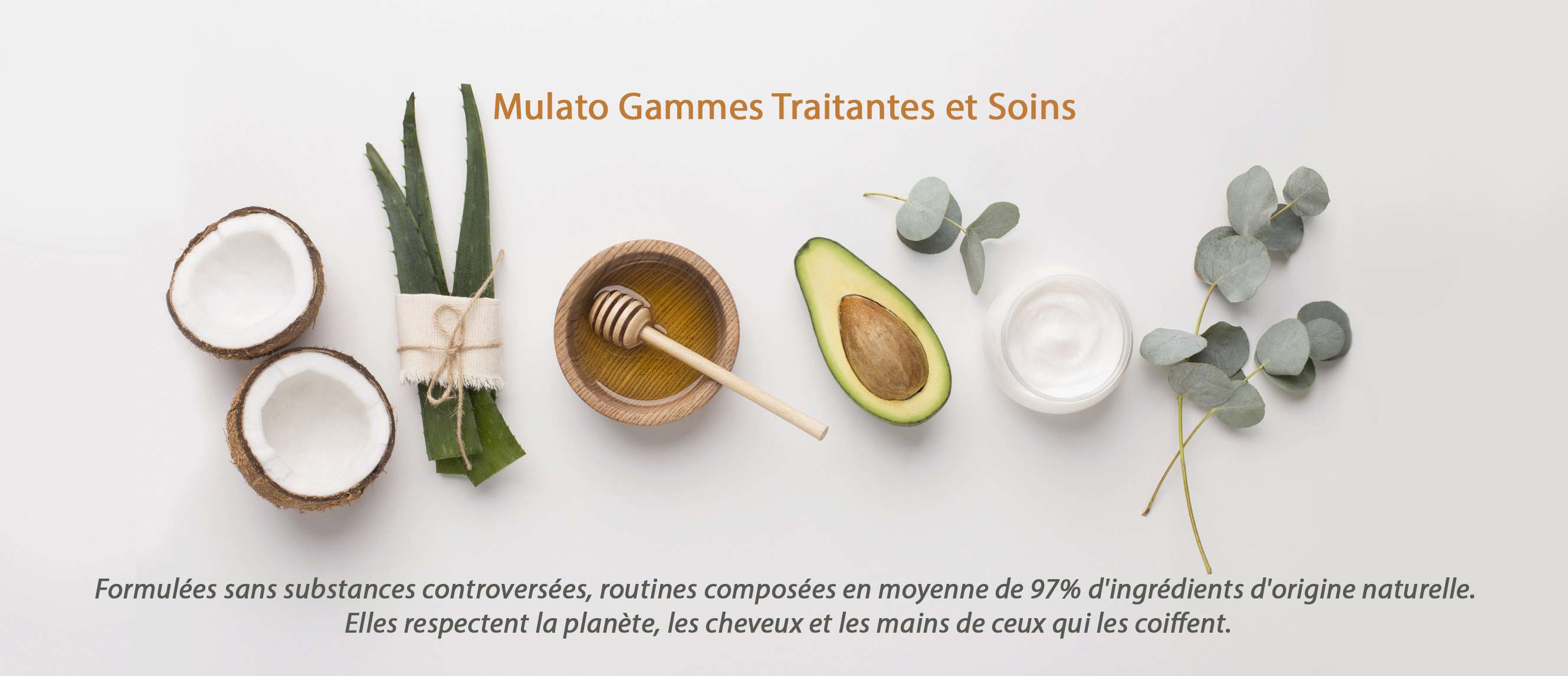 Mulato Gammes Traitantes et Soins Mulato Gammes Traitantes et Soins